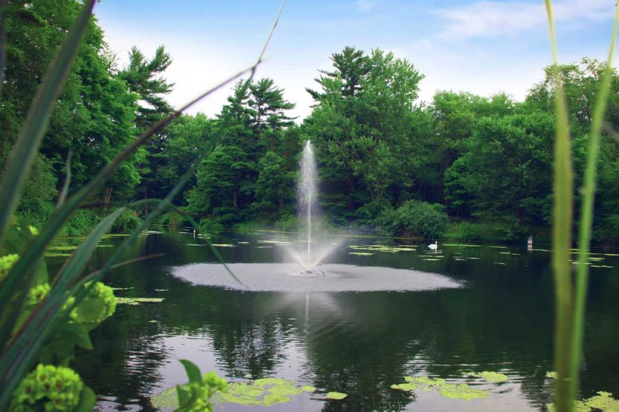 Graceful display on the Water: Why Floating Pond Fountains Offer Dynamic Beauty and Easy Setup