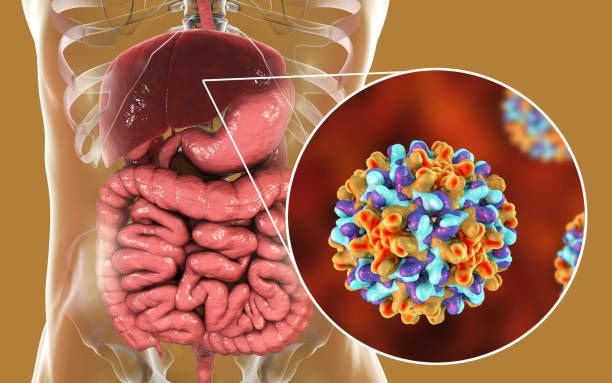 Can Liver Problems Be Reversed? Treatment Insights from a Liver Specialist Doctor in Ranchi